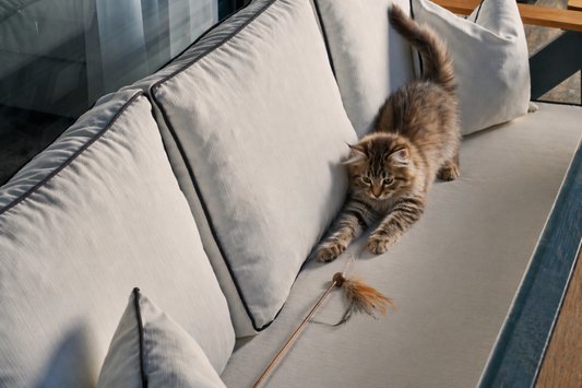 Patio Couch Seat Cushions