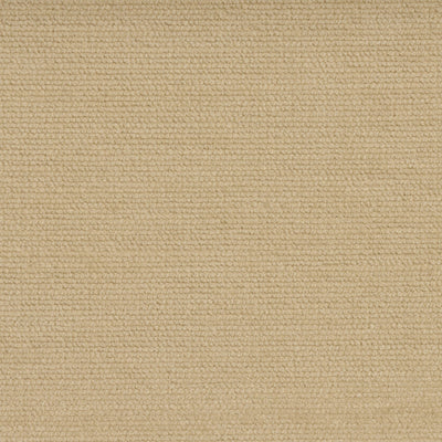 Camel Dust