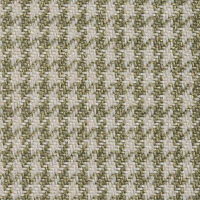 Lin Olive Check