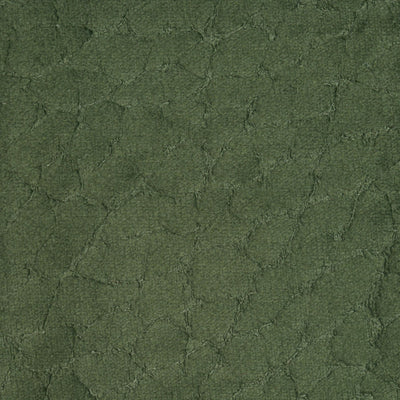 M - Moss