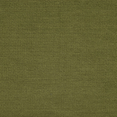 Moss Olive