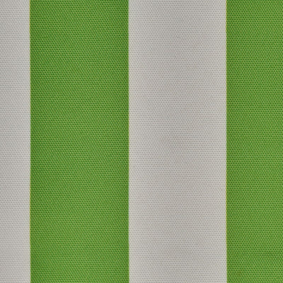 Palm Stripe