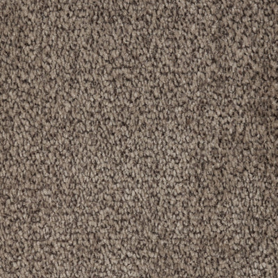 Pet Earthstone
