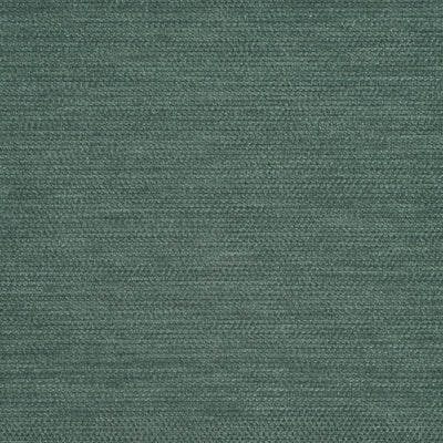 Verdant Moss